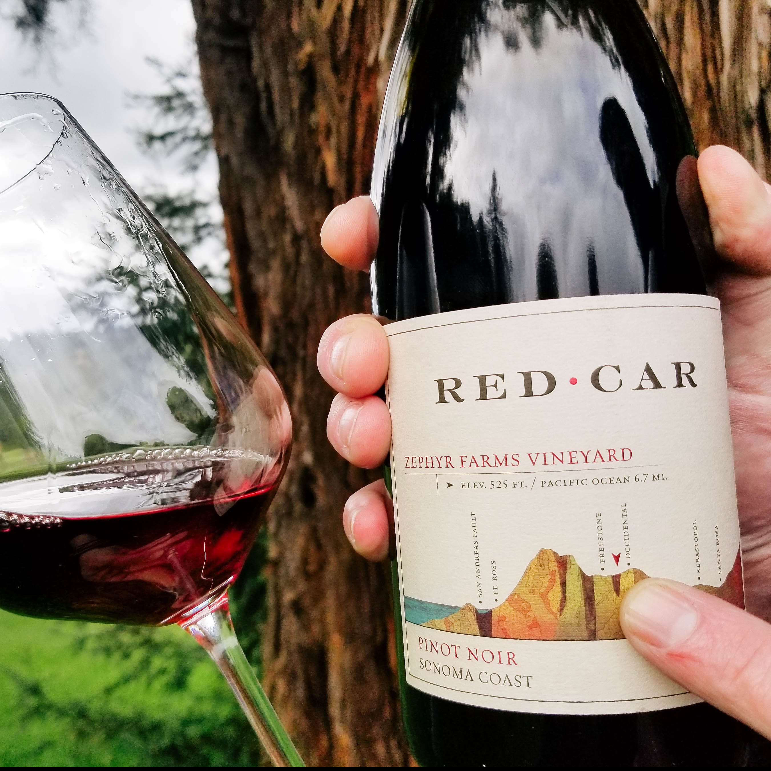 red car winery