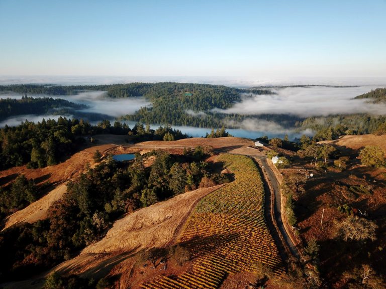 Kenny-Estate-3-768×576