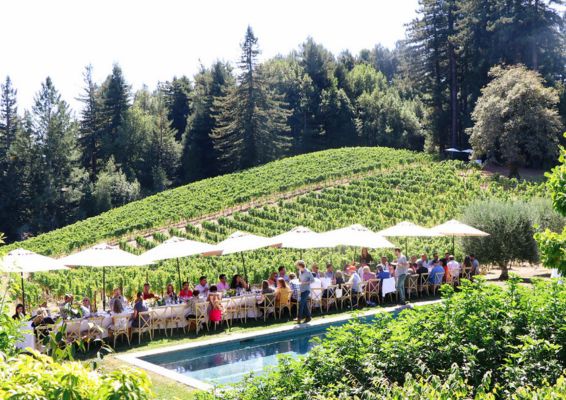 red car website images member